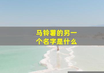 马铃薯的另一个名字是什么