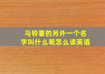 马铃薯的另外一个名字叫什么呢怎么读英语