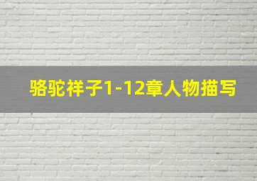 骆驼祥子1-12章人物描写