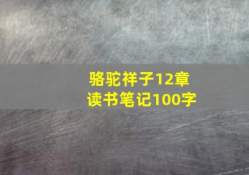 骆驼祥子12章读书笔记100字