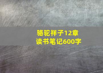 骆驼祥子12章读书笔记600字