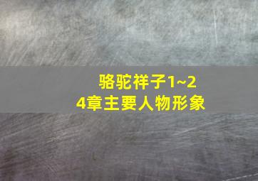 骆驼祥子1~24章主要人物形象