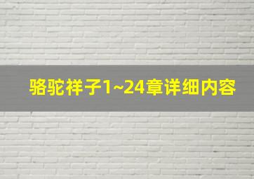 骆驼祥子1~24章详细内容