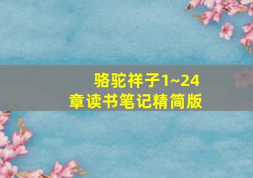 骆驼祥子1~24章读书笔记精简版