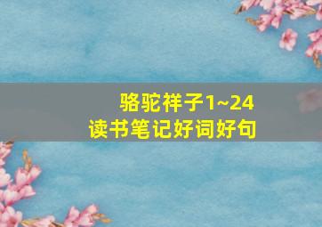 骆驼祥子1~24读书笔记好词好句