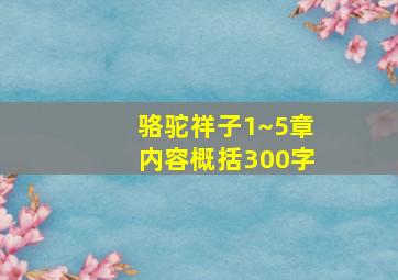 骆驼祥子1~5章内容概括300字