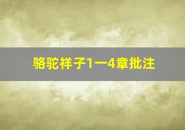 骆驼祥子1一4章批注