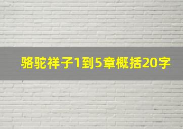 骆驼祥子1到5章概括20字