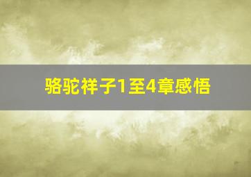 骆驼祥子1至4章感悟