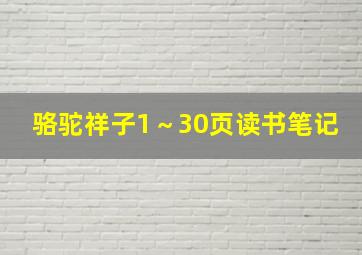 骆驼祥子1～30页读书笔记