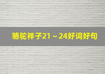 骆驼祥子21～24好词好句