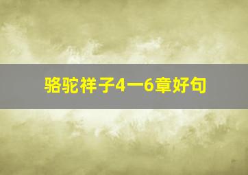 骆驼祥子4一6章好句