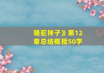 骆驼祥子》第12章总结概括50字