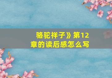 骆驼祥子》第12章的读后感怎么写