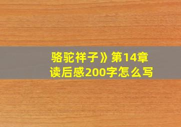 骆驼祥子》第14章读后感200字怎么写