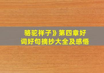 骆驼祥子》第四章好词好句摘抄大全及感悟