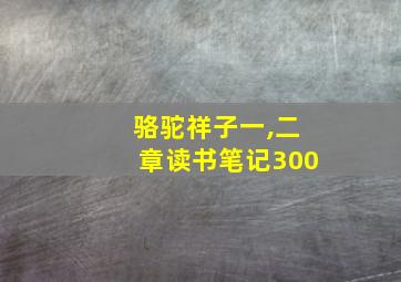 骆驼祥子一,二章读书笔记300