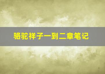 骆驼祥子一到二章笔记