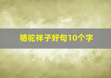 骆驼祥子好句10个字