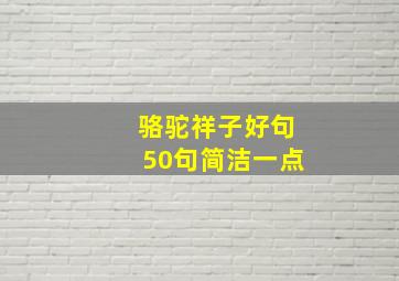 骆驼祥子好句50句简洁一点