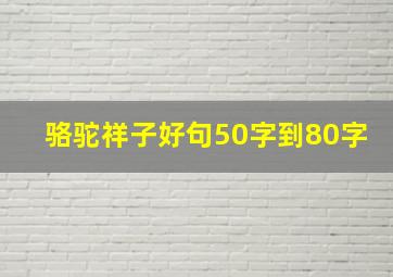 骆驼祥子好句50字到80字