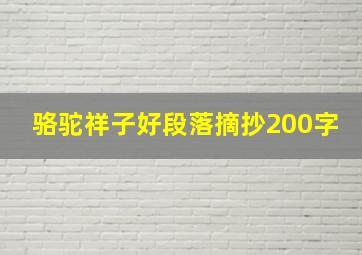 骆驼祥子好段落摘抄200字