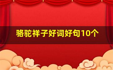 骆驼祥子好词好句10个