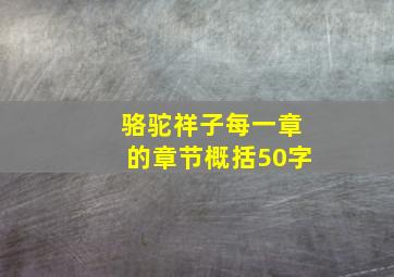 骆驼祥子每一章的章节概括50字