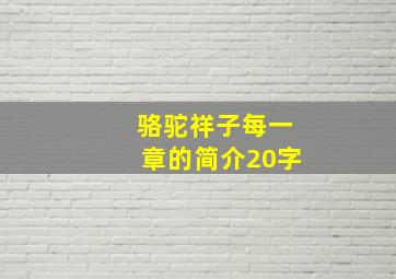 骆驼祥子每一章的简介20字