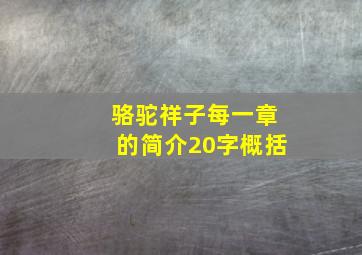 骆驼祥子每一章的简介20字概括