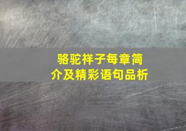 骆驼祥子每章简介及精彩语句品析