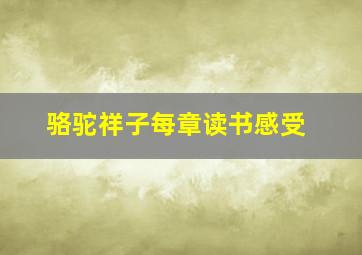 骆驼祥子每章读书感受