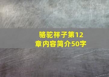 骆驼祥子第12章内容简介50字