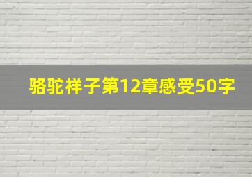 骆驼祥子第12章感受50字