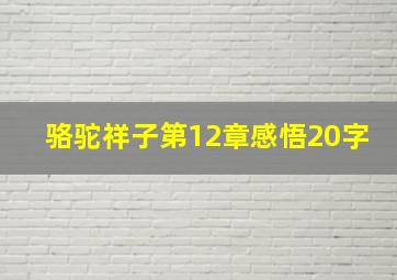 骆驼祥子第12章感悟20字