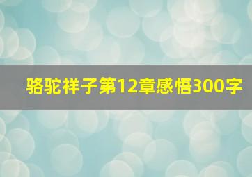 骆驼祥子第12章感悟300字