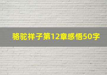 骆驼祥子第12章感悟50字