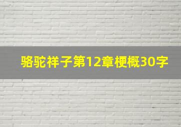 骆驼祥子第12章梗概30字