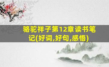 骆驼祥子第12章读书笔记(好词,好句,感悟)