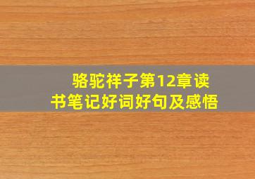 骆驼祥子第12章读书笔记好词好句及感悟