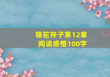 骆驼祥子第12章阅读感悟100字