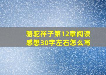 骆驼祥子第12章阅读感想30字左右怎么写