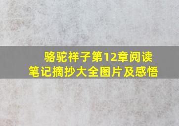 骆驼祥子第12章阅读笔记摘抄大全图片及感悟