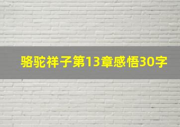 骆驼祥子第13章感悟30字