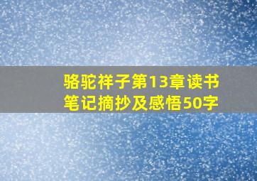 骆驼祥子第13章读书笔记摘抄及感悟50字