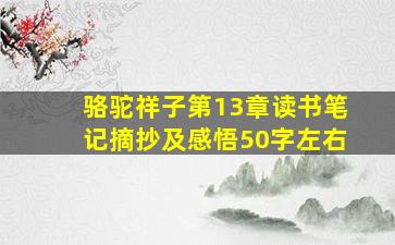 骆驼祥子第13章读书笔记摘抄及感悟50字左右