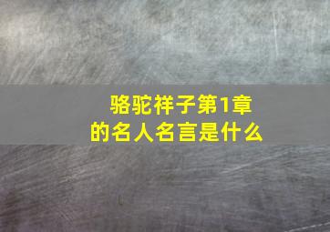 骆驼祥子第1章的名人名言是什么