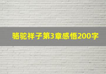 骆驼祥子第3章感悟200字