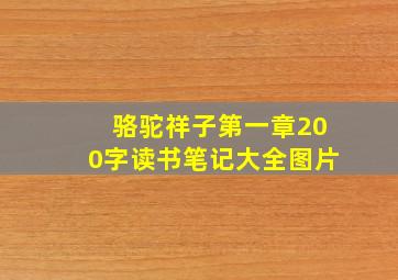 骆驼祥子第一章200字读书笔记大全图片