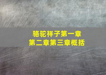 骆驼祥子第一章第二章第三章概括